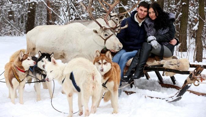 Зимний романтический отдых для двоих с катанием на оленях и хаски в Walk Service