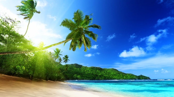 Тур на Сейшельские острова с отдыхом в отеле на выбор, завтраками и вылетами в апреле и мае со скидкой 30%
