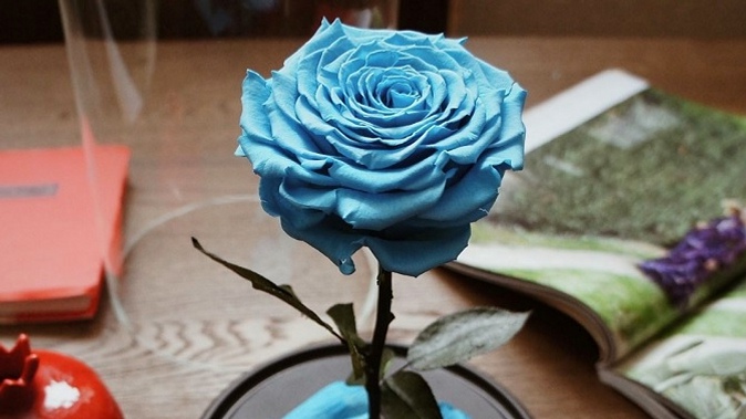 Неувядающая роза в колбе размера Premium или Mini либо композиция из трех пионовидных роз от флористической студии N&K Art Studio