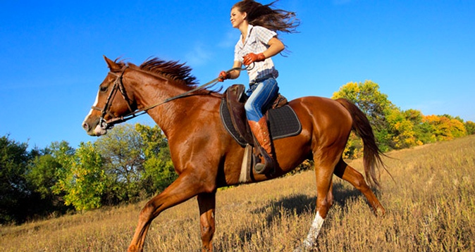 -74% на конные прогулки, фотосессию в Марфино 495 р. за фотосессию с лошадью, 1 час, 1320 р. за 3 ч конной прогулки в выходные. Конный поход, купание с лошадьми и др.