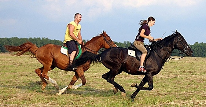 Романтическая прогулка для двоих или конный поход для двоих Extrime или Adventure от конного клуба "ExCamp"