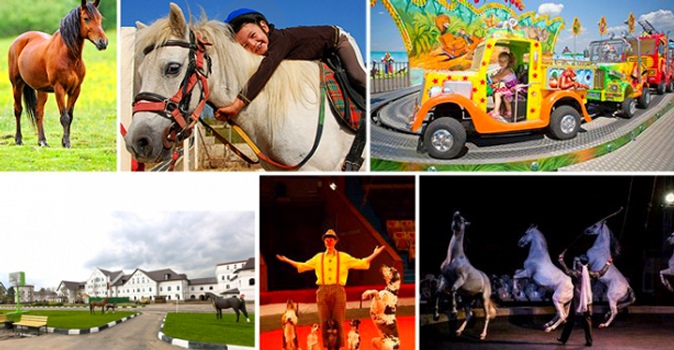 Активный отдых для детей и взрослых: катание на лошадях, верёвочный парк и другие развлечения в парке "Русь"