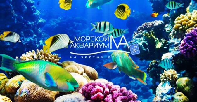 Единственный в Москве живой Коралловый сад! Экскурсия для всей семьи в океанариум «Морской аквариум на Чистых прудах»
