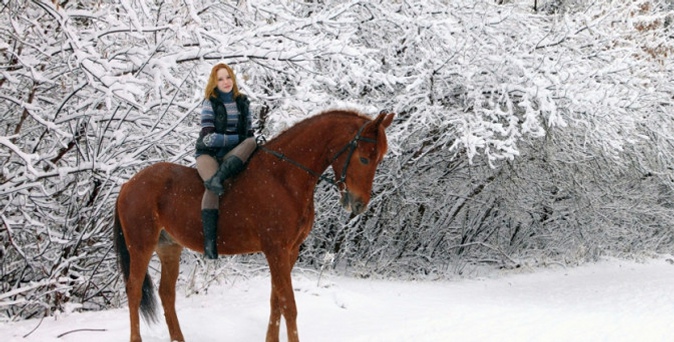 Экскурсия на ферму мини-лошадок «Новогодние приключения Конька-Горбунка» от группы компаний «Столица».