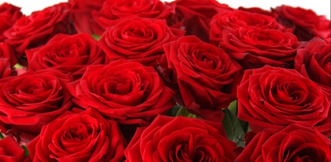 Букет или шляпная коробка с розами на выбор от магазина «Цветочный гид».