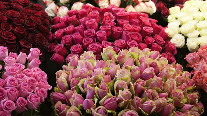 Эквадорские розы в круглой или квадратной коробке премиум-класса My Rose Garden от компании Rozantin.