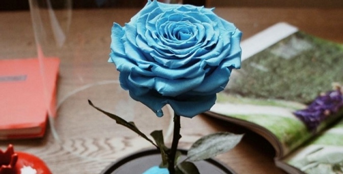 Неувядающая роза в колбе размера Premium или Mini.