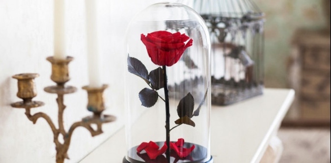 Неувядающая роза в колбе из сказки «Красавица и Чудовище» с любой расцветкой на выбор.