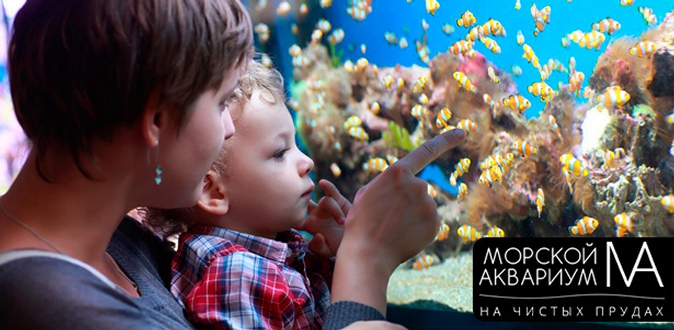 Экскурсия для взрослых и детей в будни и выходные в «Морской аквариум на Чистых прудах».