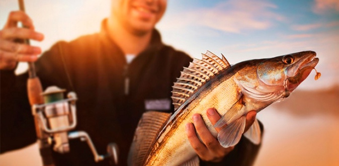 Дневная путевка на платную рыбалку в рыболовном хозяйстве «Озеро Развилка» со скидкой 45%
