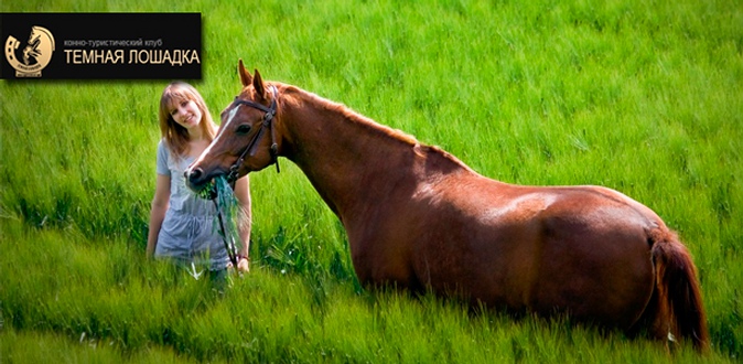 Часовая прогулка на лошадях для одного, двоих или компании от конно-туристического клуба «Темная лошадка».
