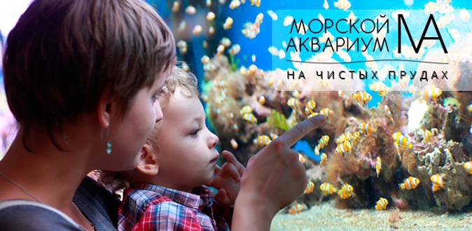 Экскурсия для взрослых и детей в будни и выходные в «Морской аквариум на Чистых прудах».